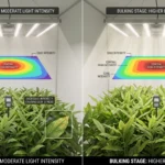 Drip Frequency for Rockwool: Minutes Per Cycle